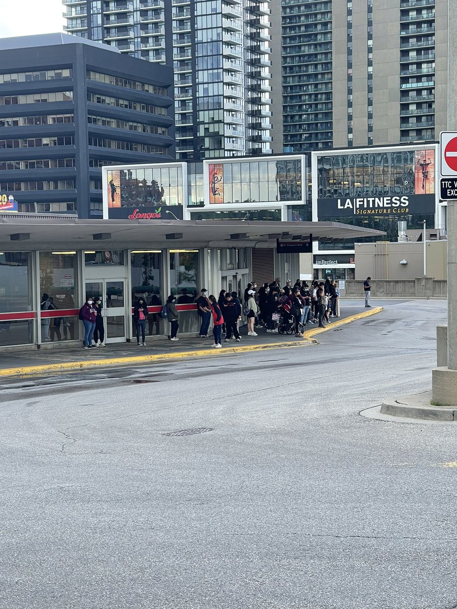 Toghrul Gamarli tweet media