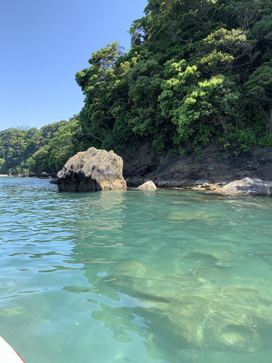 KittiwakeCat's tweet photo. 日曜日仕事行きたくない病！
発令中！

海に浸かりたーい！
#海が恋し
#海
#天気が良いのに https://t.co/YQq0ACeR2r