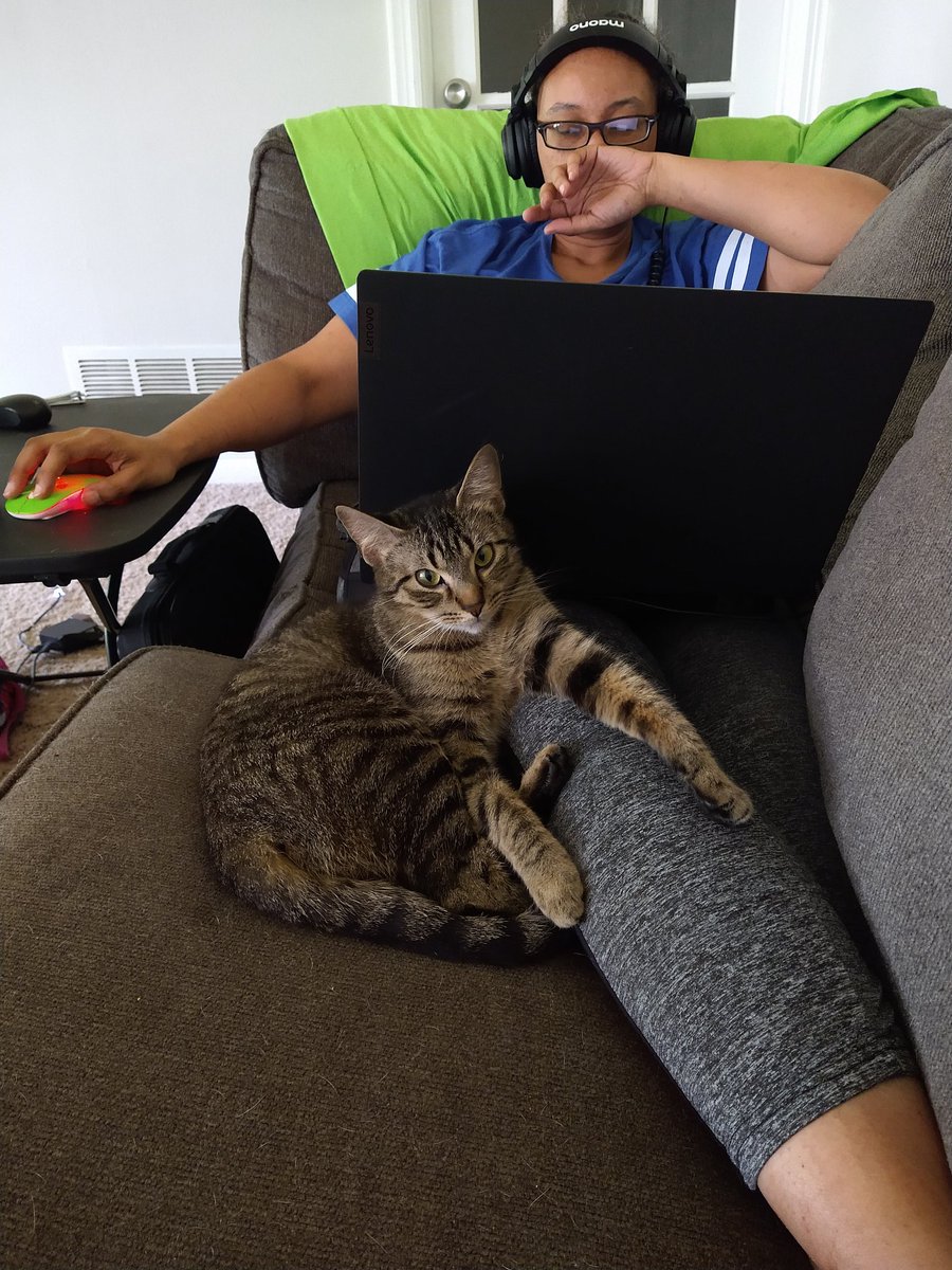 BytBakery's tweet photo. My dear Wendy. Loves when I'm in one spot #furday #CatsOfTwitter https://t.co/vPywap1mUp