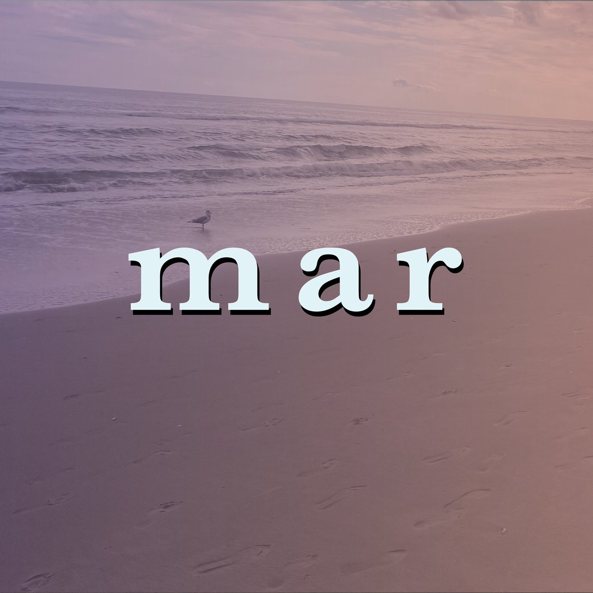 ParadaisMusic's tweet photo. ✨ tu vas detrás, sin saber nadar✨
¿Han escuchado nuestra canción Mar? Enlace en la bio pa escucharla en todas las plataformas 🐬 https://t.co/lvjnPiqPqI