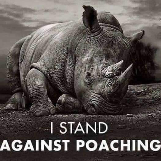 Stand against Poaching
Via Darren Coombs