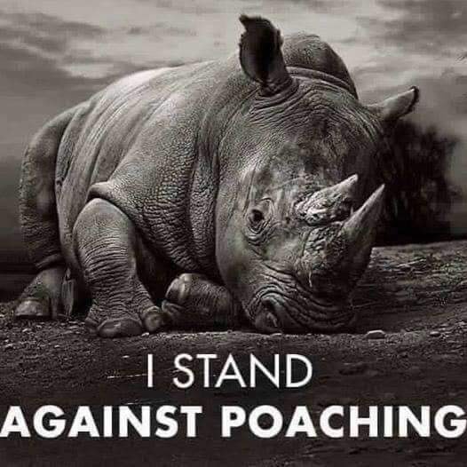 Stand against Poaching Via Darren Coombs