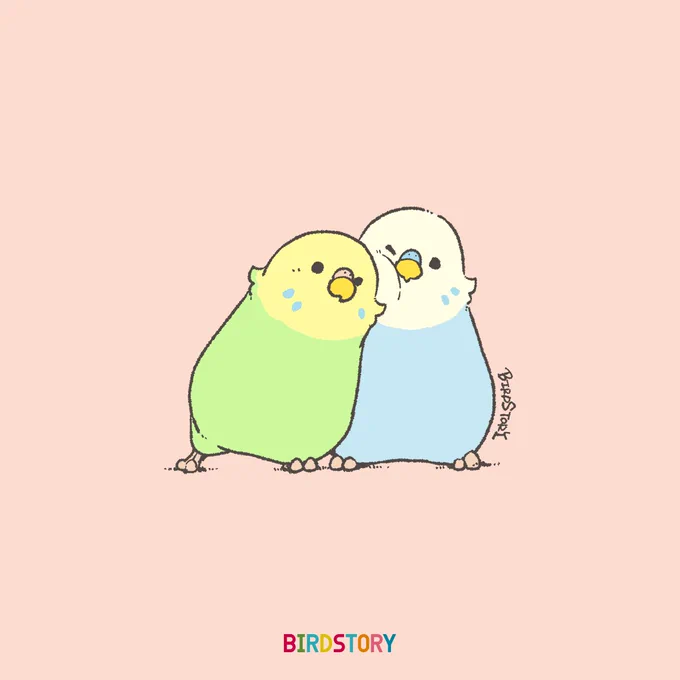 おはようございます。
本日は6月12日、恋人の日とのことです🐣
#BIRDSTORY 
#恋人の日 #セキセイインコ 
