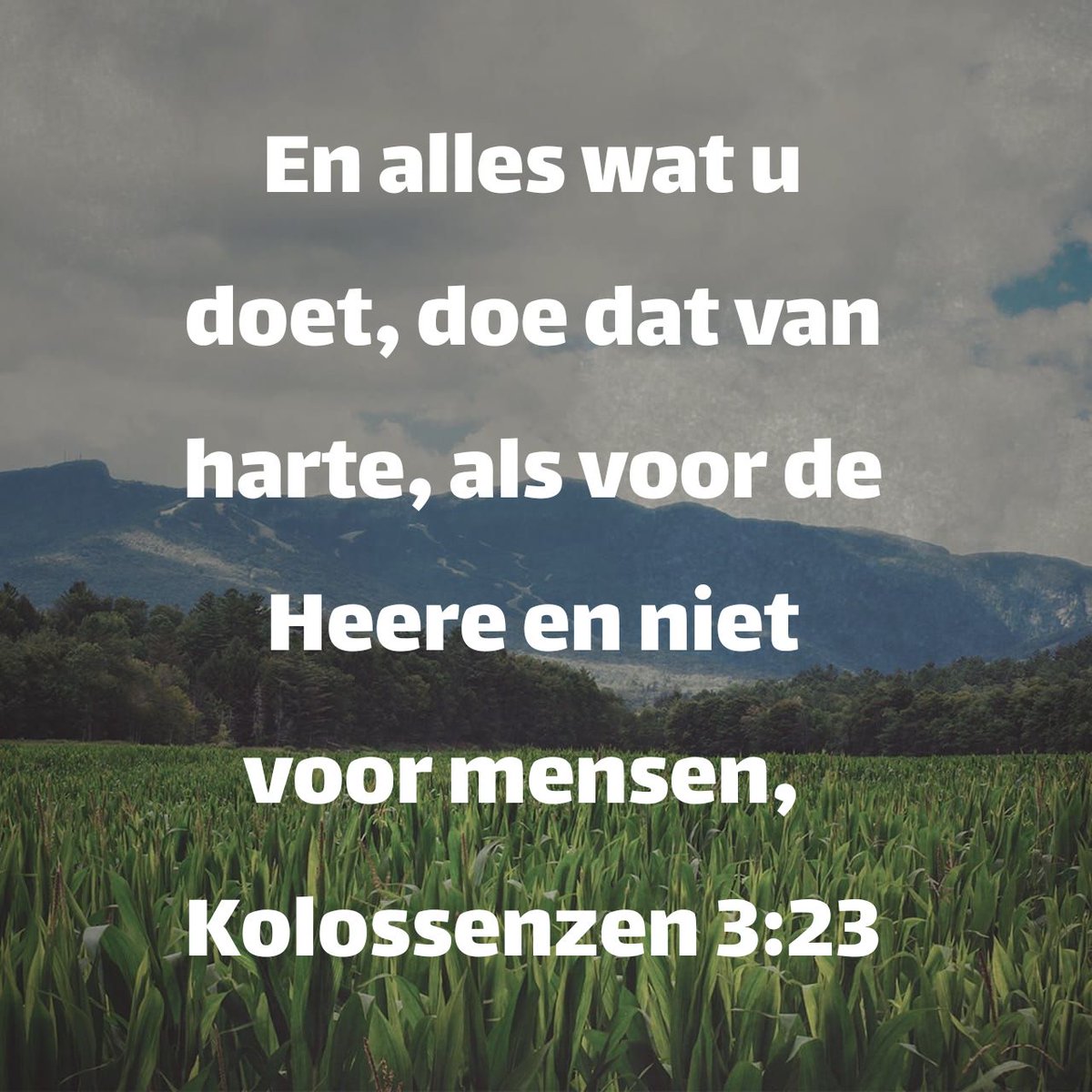 En alles wat u doet, doe dat van harte, als voor de Heere en niet voor mensen,
Kolossenzen 3:23 HSV

bible.com/bible/1990/col…