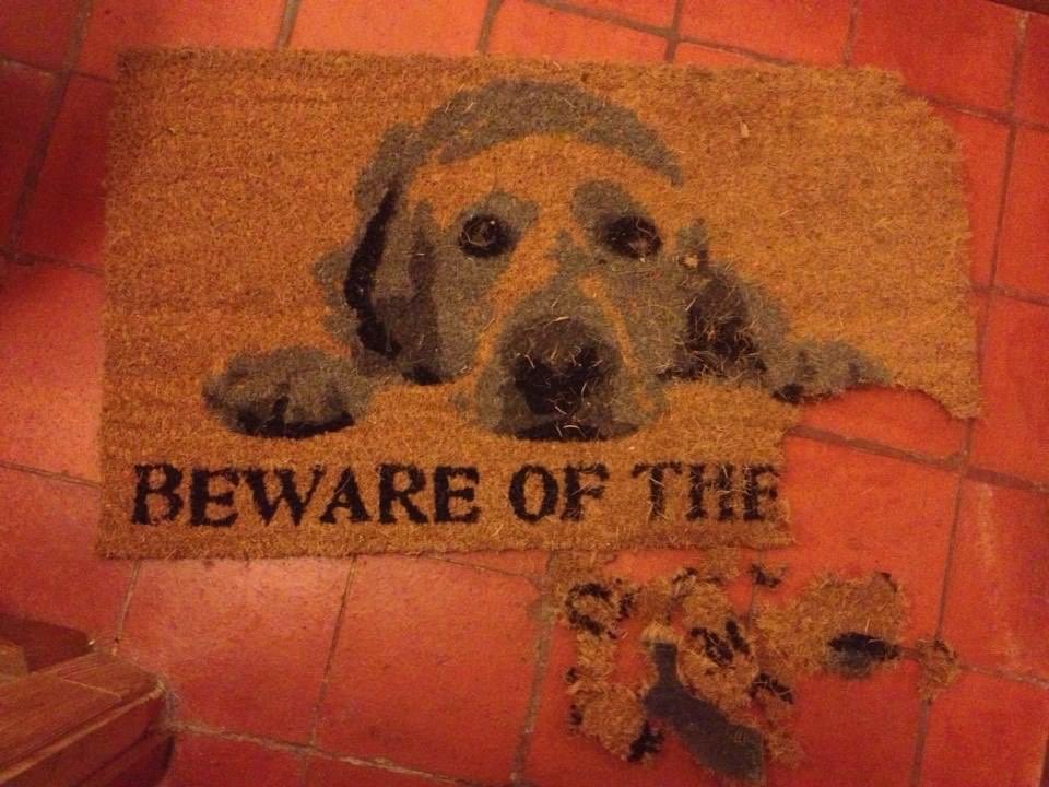 John Redshaw tweet media