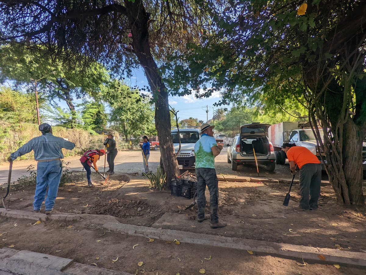 CDDesierto's tweet photo. ¡Ahora si que venga la lluvia!

Hoy terminamos con el demostrativo de cosecha de agua de lluvia en las oficinas Parques y Jardines.  Gracias a todas las personas y organizaciones involucradas a lo largo de este proyecto. https://t.co/eYpLKEZu1v