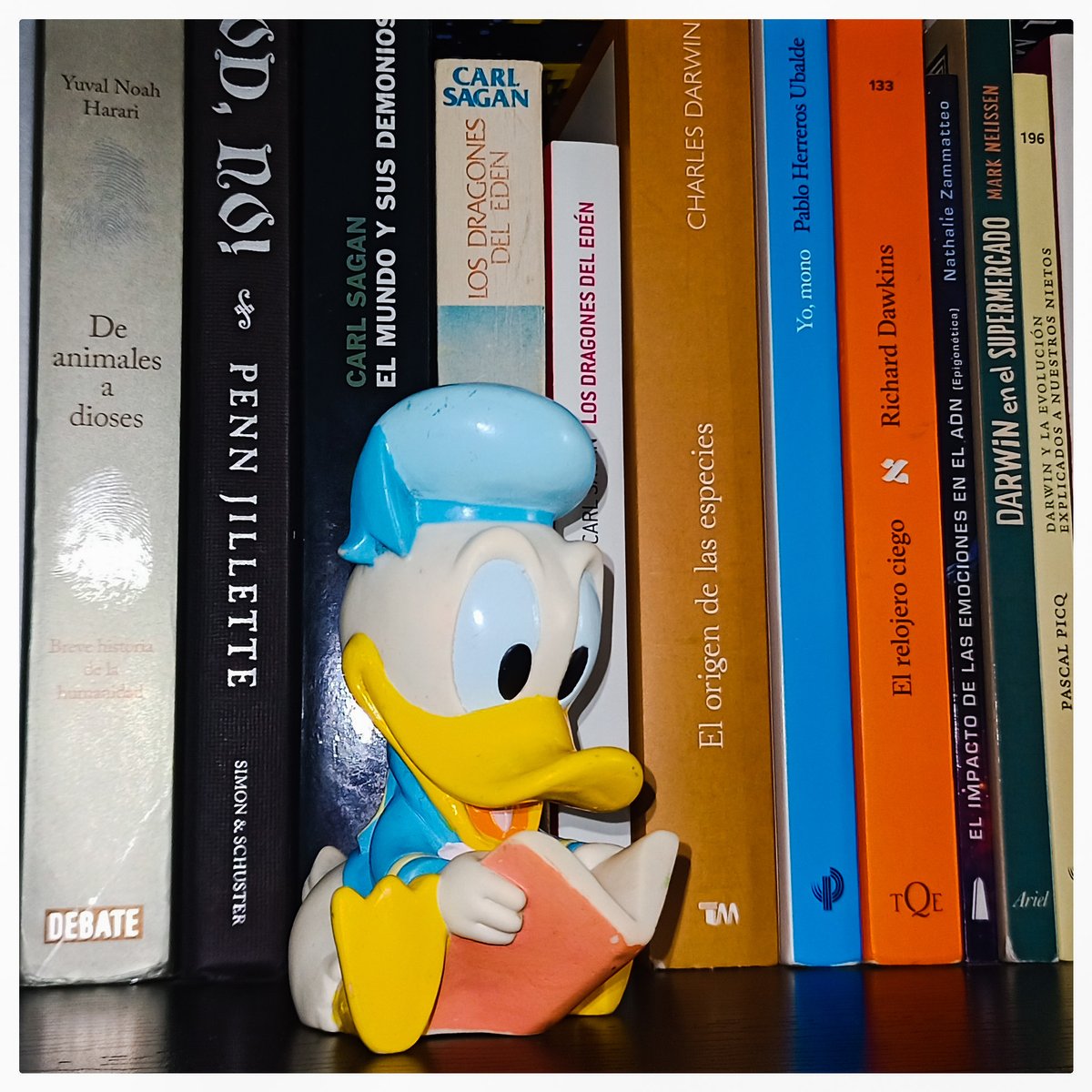 Gallus Luciferius🐓🌟 tweet media