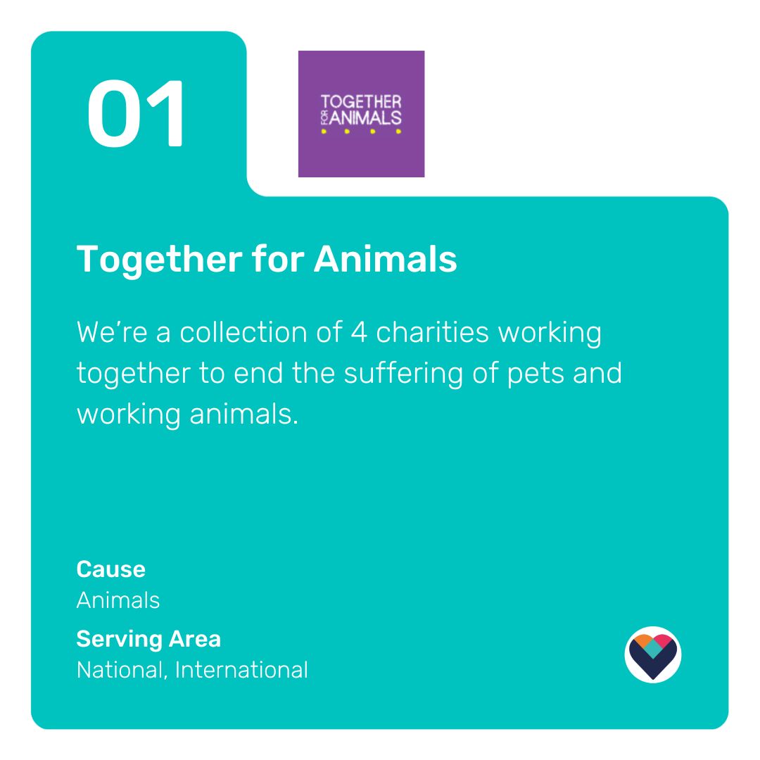 givtoUK's tweet photo. You'd like to know which great causes we're featuring in July? 

Well, next month Givto users can support 
@TogetherAnimals, @AVSEDest1992 or @ZarachLeeds.

Three brilliant #charities - so who would you #Givto? 

Learn more about them and support here: https://t.co/B0MGFqi2Dm https://t.co/3RzMIsWSCM