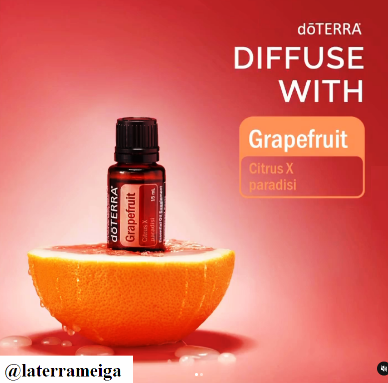 reporteinsular's tweet photo. Brindamos Bienestar Mezclando algo que te va a gustar... y que luego no podrás de dejar de usar ..... visita nuestro instagram @laterrameiga https://t.co/PCuK0SY0Up
