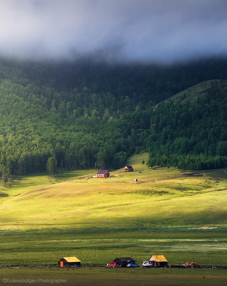 Өглөөний мэнд 💚