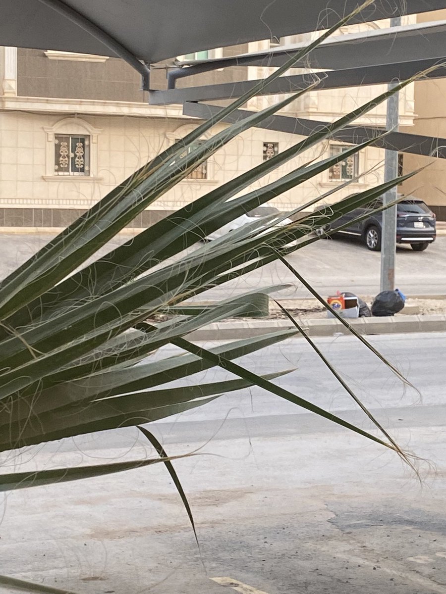 muniraibr's tweet photo. @Amanatalriyadh السلام عليكم يكف اقدم على طلب حاوية قدام العماره ، لان لايوجد حاويه وطلب الثاني تنظف مخلفات في الارض المجاوره https://t.co/3CPSw1AfCg