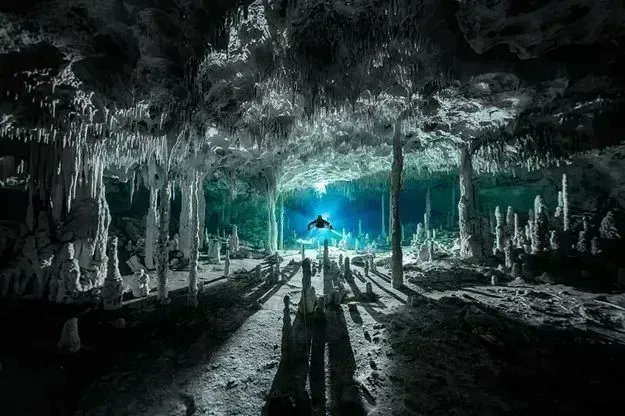 Image of this social media content