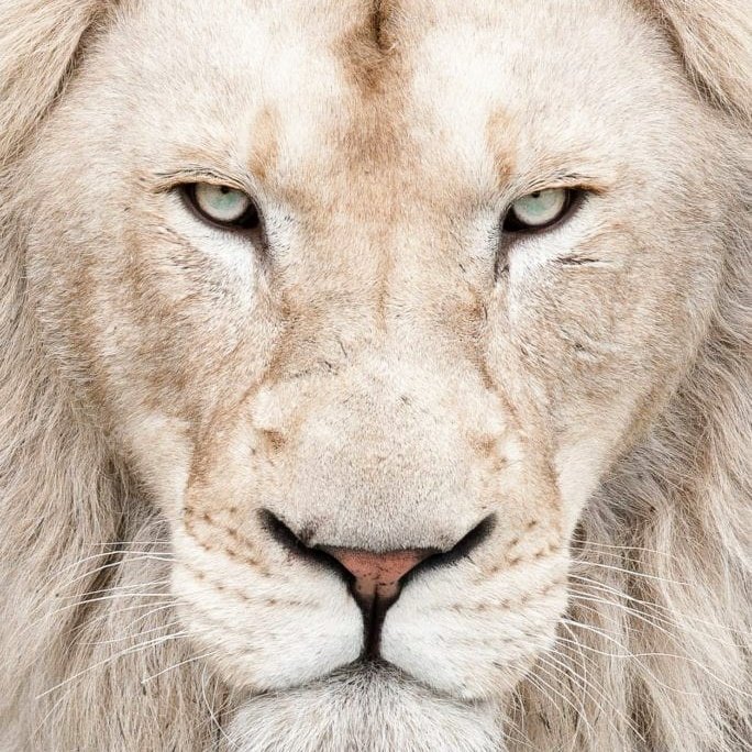 VandervortAlan's tweet image. #NewProfilePic