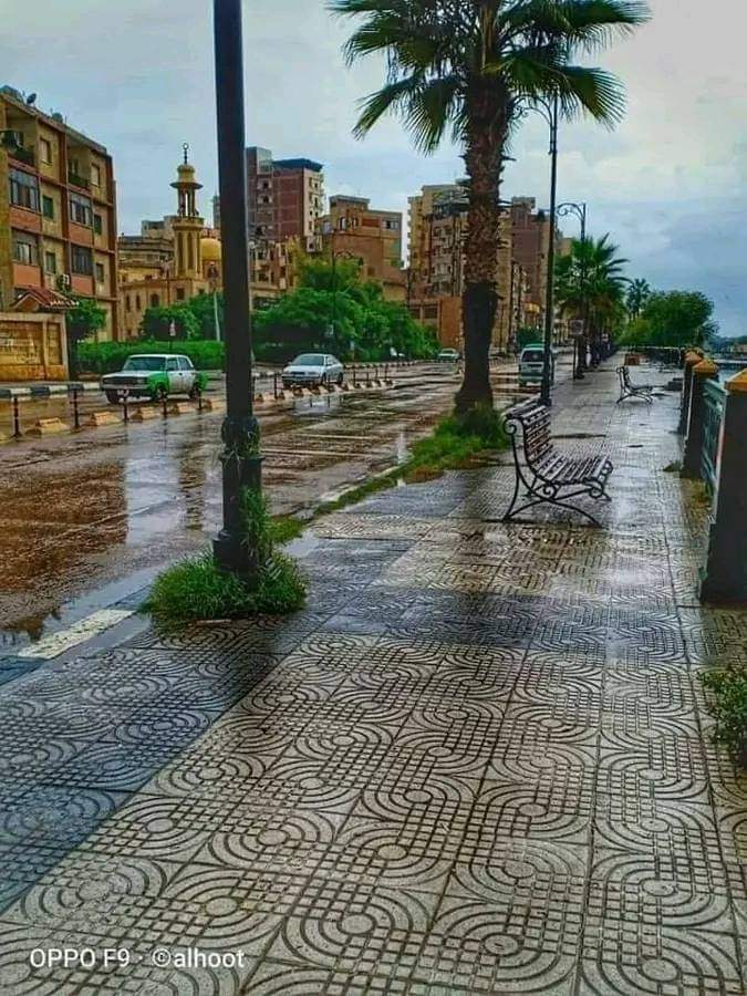 Asmaa66457784's tweet photo. #بحبك_لانك الشتا يعني مافيش حر مافيش تلزيق رائحه المطر كل حاجه فيه حلوه ❤️❤️ https://t.co/cUDrUK1GOb