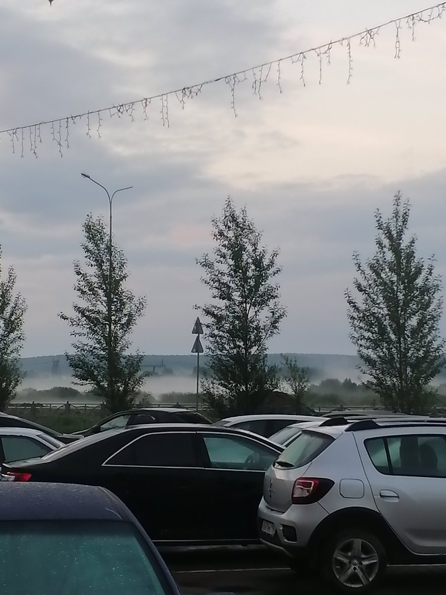 j_protuberanzen's tweet photo. Почаще бы прогуливаться по Солнечному в пятом часу утра, когда сна ни в одном глазу, людей — тоже. И пахнет после дождя совершенно потрясающе, и весь мир вокруг застрял в одном моменте — ленивом, воздушном, красивом. https://t.co/BWiuacs7RP