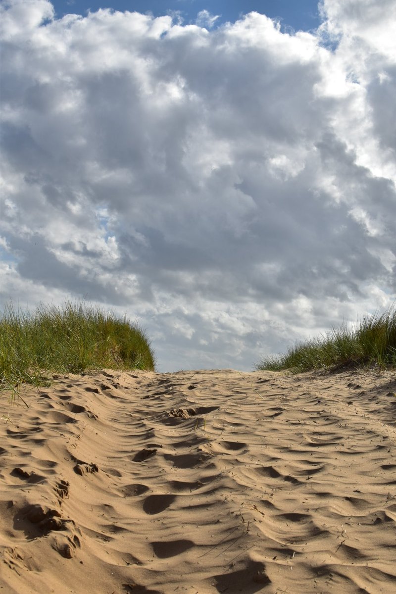 Tracey (@pebble_photo) on Twitter photo 