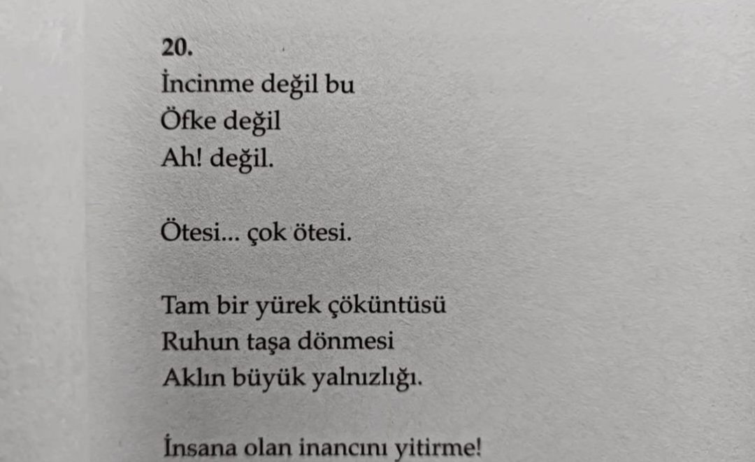 Nejla Üngül (@nejngl) on Twitter photo 