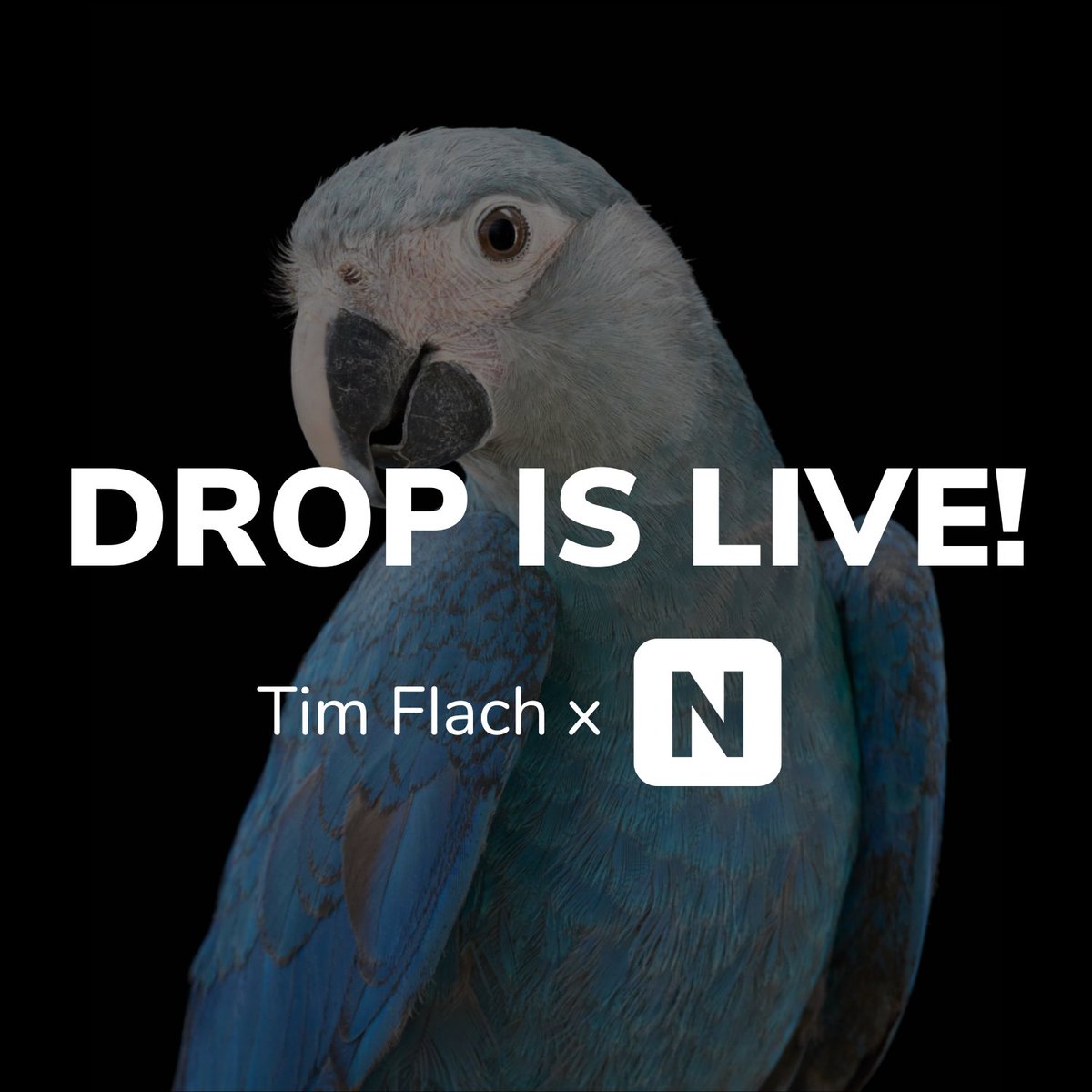 UNEXTINCT tweet media