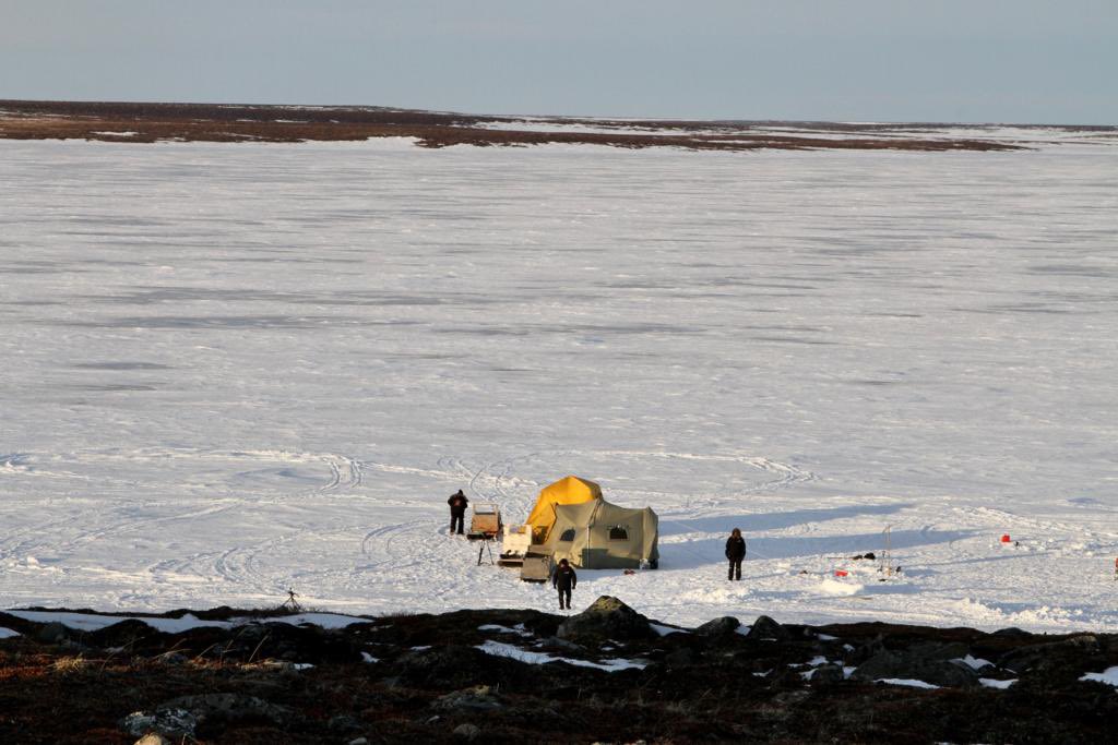 Adam Scorgie tweet media