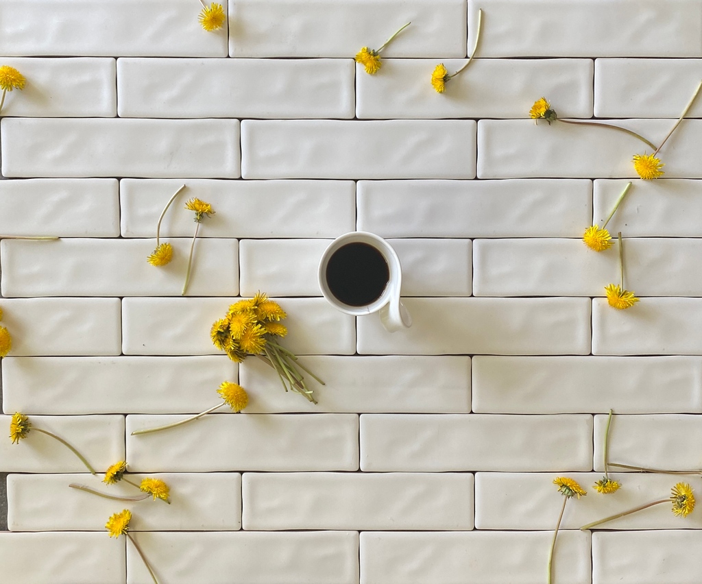 The beautiful Iris Blanco tile is a perfect option to achieve a seemless kitchen subway tile look. These ceramic tiles are hand glazed to perfection 😍
.
.
.
.
#ihavethisthingwithtile #nationaltile  #modernhome #interiorinspiration #interiorgoals #ceramic #ceramictile