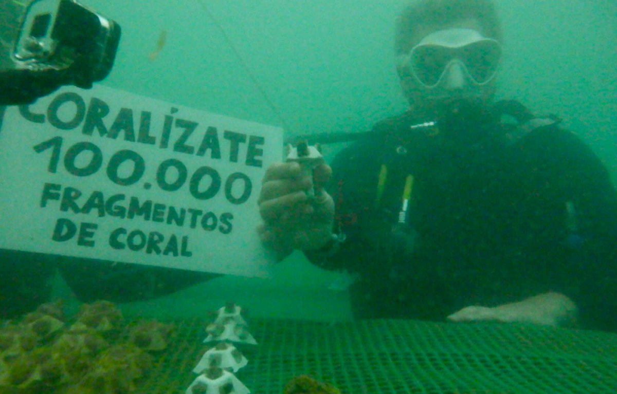 Gracias a todos los aliados de #UnMillónDeCorales por 🇨🇴 del <a href="/MinAmbienteCo/">MinAmbiente Colombia</a> por sumarse a #Coralízate
<a href="/ParquesColombia/">Parques Nacionales Naturales de Colombia</a> <a href="/coralina_sai/">CORALINA</a> <a href="/CORPOURABA/">𝐂𝐎𝐑𝐏𝐎𝐔𝐑𝐀𝐁𝐀</a> @CodechocoPrensa <a href="/CORPAMAG/">CORPAMAG</a> <a href="/cardique/">Cardique</a> <a href="/Eduambientalsuc/">Carsucre Educacion A</a> <a href="/coralesdepaz/">Corales de Paz</a> <a href="/MasBosquesCol/">Masbosques ®</a> <a href="/OceanarioIslas/">Oceanario Islas</a> #AcuarioElRodadero