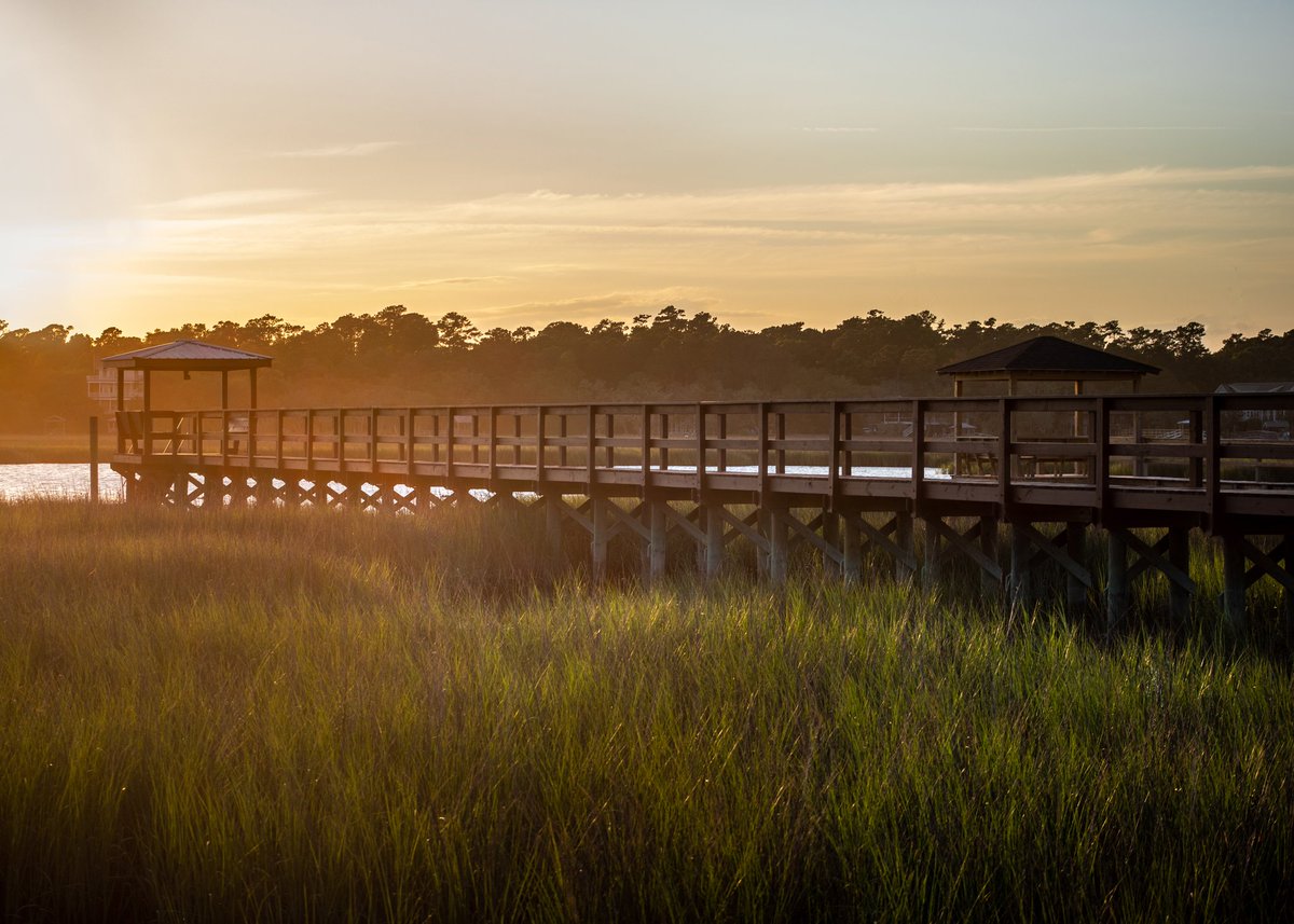 mistymeyer75's tweet photo. Discovering the low country #pawleysisland #travelphotography #SouthCarolina #canonphotography https://t.co/N1GIgm6E0e