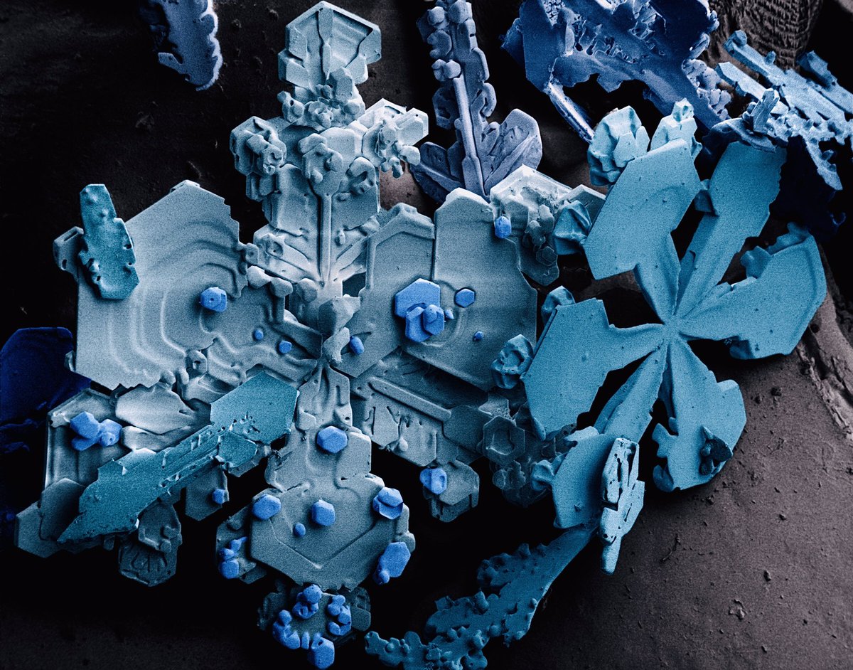 microscopicture's tweet photo. electron microscope image of snow crystals https://t.co/CUhP2fKDG9