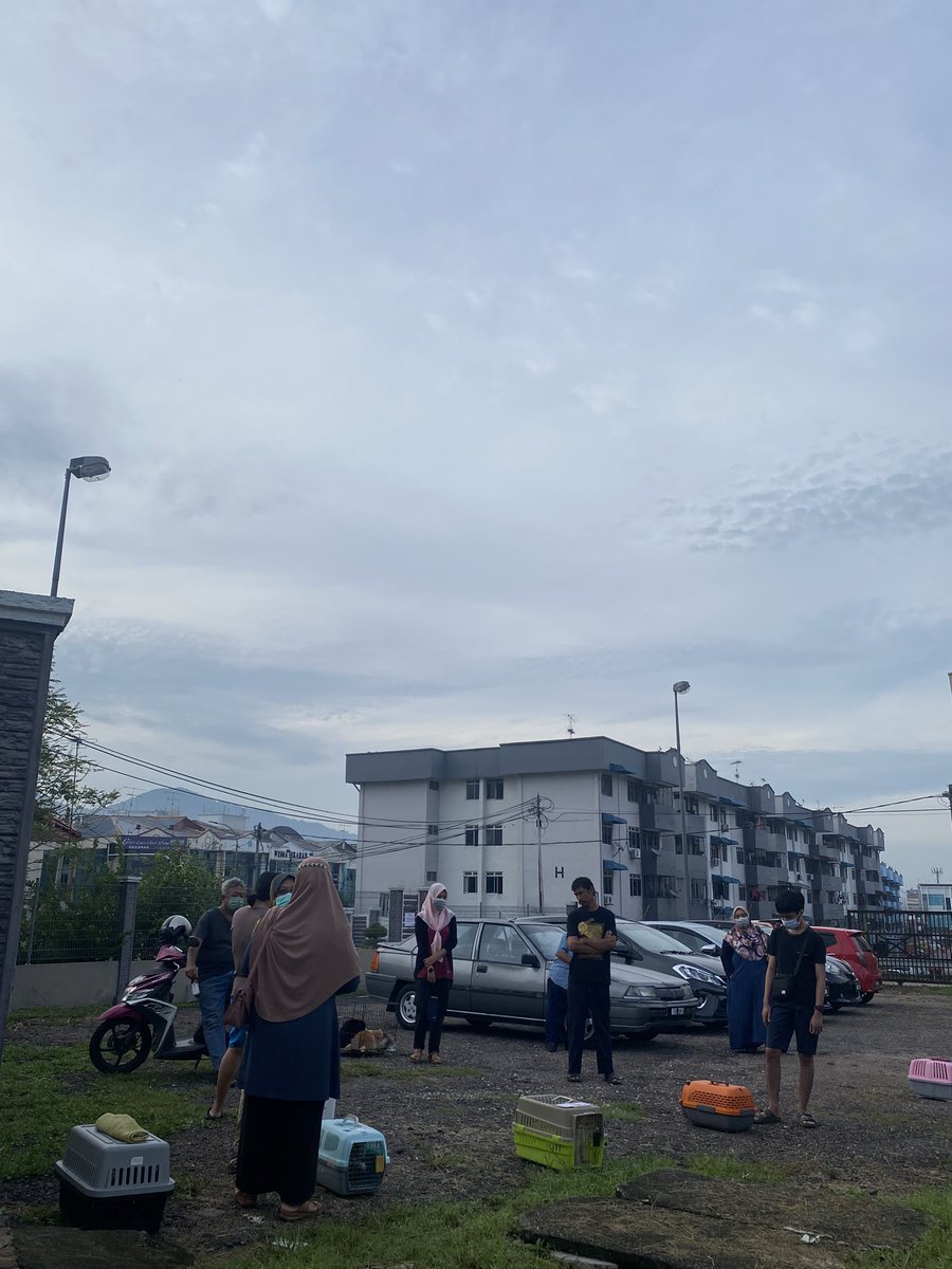 KittySquads's tweet image. Meowwningg everyone and have a good day. 
#monthlyroutine