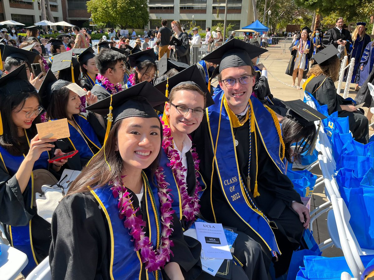 Diaconescu Group tweet media