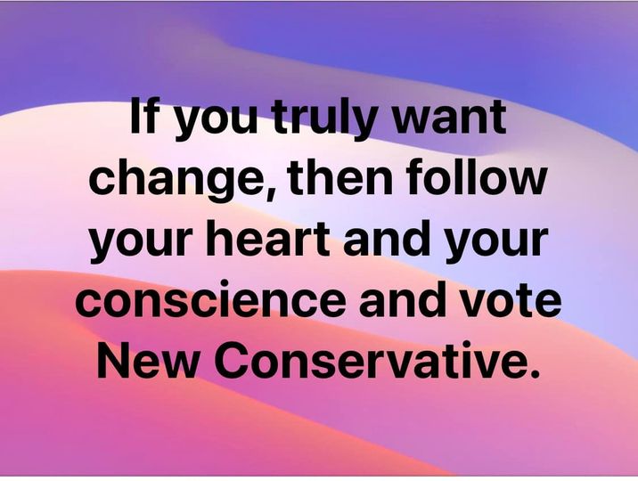NewConservNZ's tweet photo. Less than one week to go until Saturday 18 June. #itstimetogetreal Tauranga. Vote Helen Houghton, New Conservative NZ. https://t.co/fe3i34GJYQ