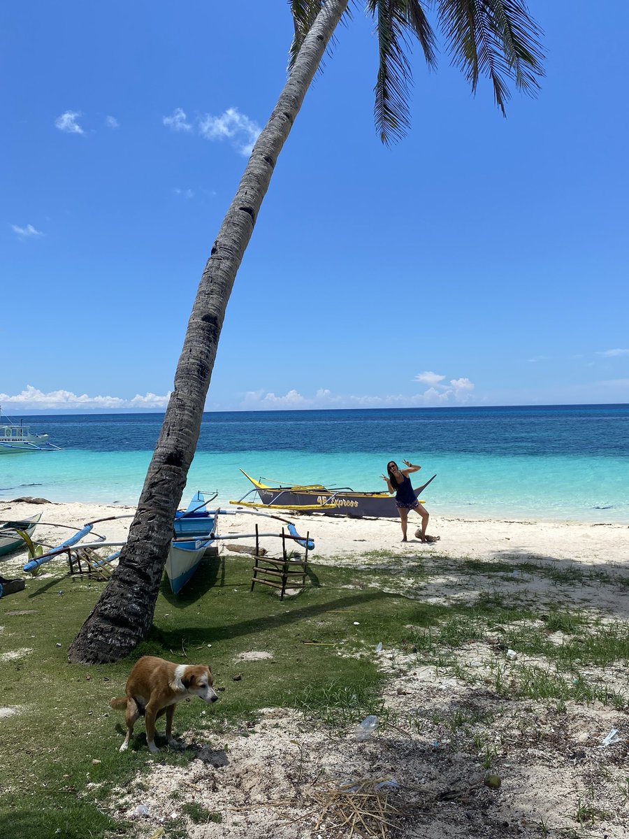 Always look on the bright side of life 🎶