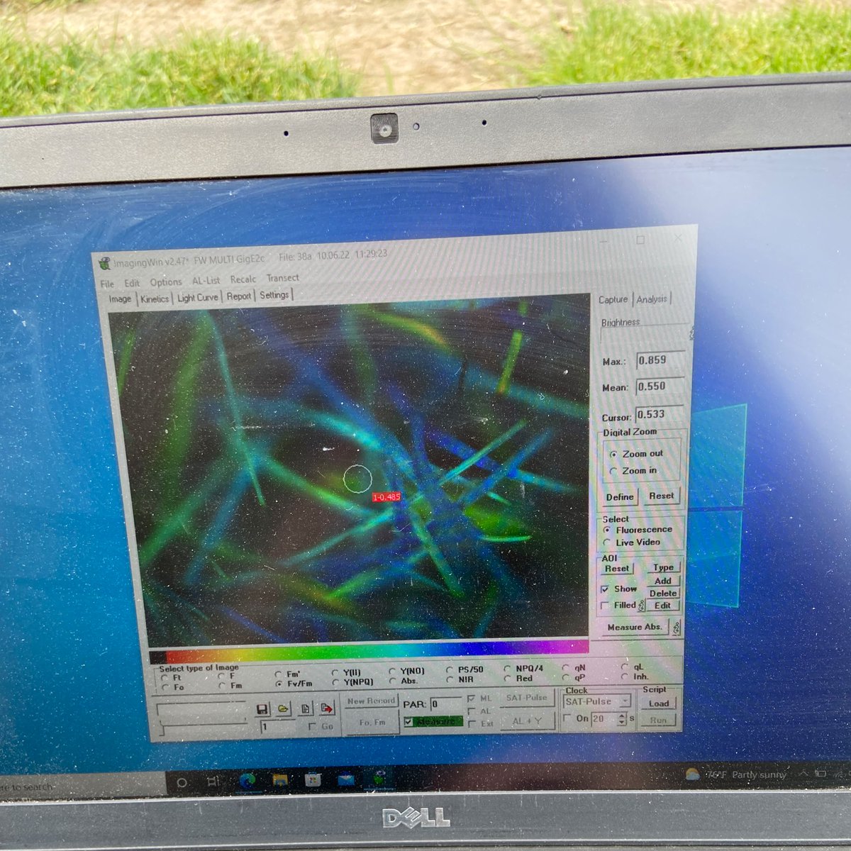 In the <a href="/UMNTurf/">UMN Turfgrass Science</a> field yesterday with <a href="/gabeolsonjensen/">gabeolsonjensen</a> taking Fv/Fm data on the <a href="/MetCouncil/">Met Council</a> drought study! Looking at the plant’s ability to handle stress through reading fluorescence 💡🌱