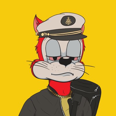 00cybercypher's tweet photo. #NewProfilePic from @DegenToonz !! 

I’m so happy to finally join this community!!

#toonztothemoon 🚀 https://t.co/XqMHSoGG3S