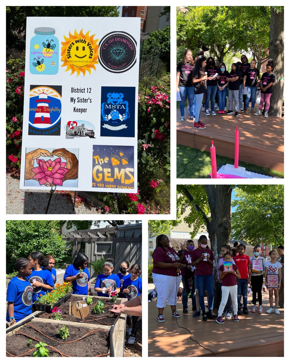 C.S. 150X (@cs150_school) on Twitter photo Amazing time at the D12 MSK induction event. Celebrated with presentations, planting, sisterhood and collaboration. So proud of our CS150 Diamonds 💎 too. Happy to have everyone gather at our community Paradise Garden 🪴 <a href="/D12SupRosado/">District12Bronx</a> @aparache12 <a href="/ddc427/">Debra</a> <a href="/PS57Crescent/">PS57Crescent</a> <a href="/PS6XD12/">PS 6X-West Farms Sch</a> Amazing time at the D12 MSK induction event. Celebrated with presentations, planting, sisterhood and collaboration. So proud of our CS150 Diamonds 💎 too. Happy to have everyone gather at our community Paradise Garden 🪴 <a href="/D12SupRosado/">District12Bronx</a> @aparache12 <a href="/ddc427/">Debra</a> <a href="/PS57Crescent/">PS57Crescent</a> <a href="/PS6XD12/">PS 6X-West Farms Sch</a>