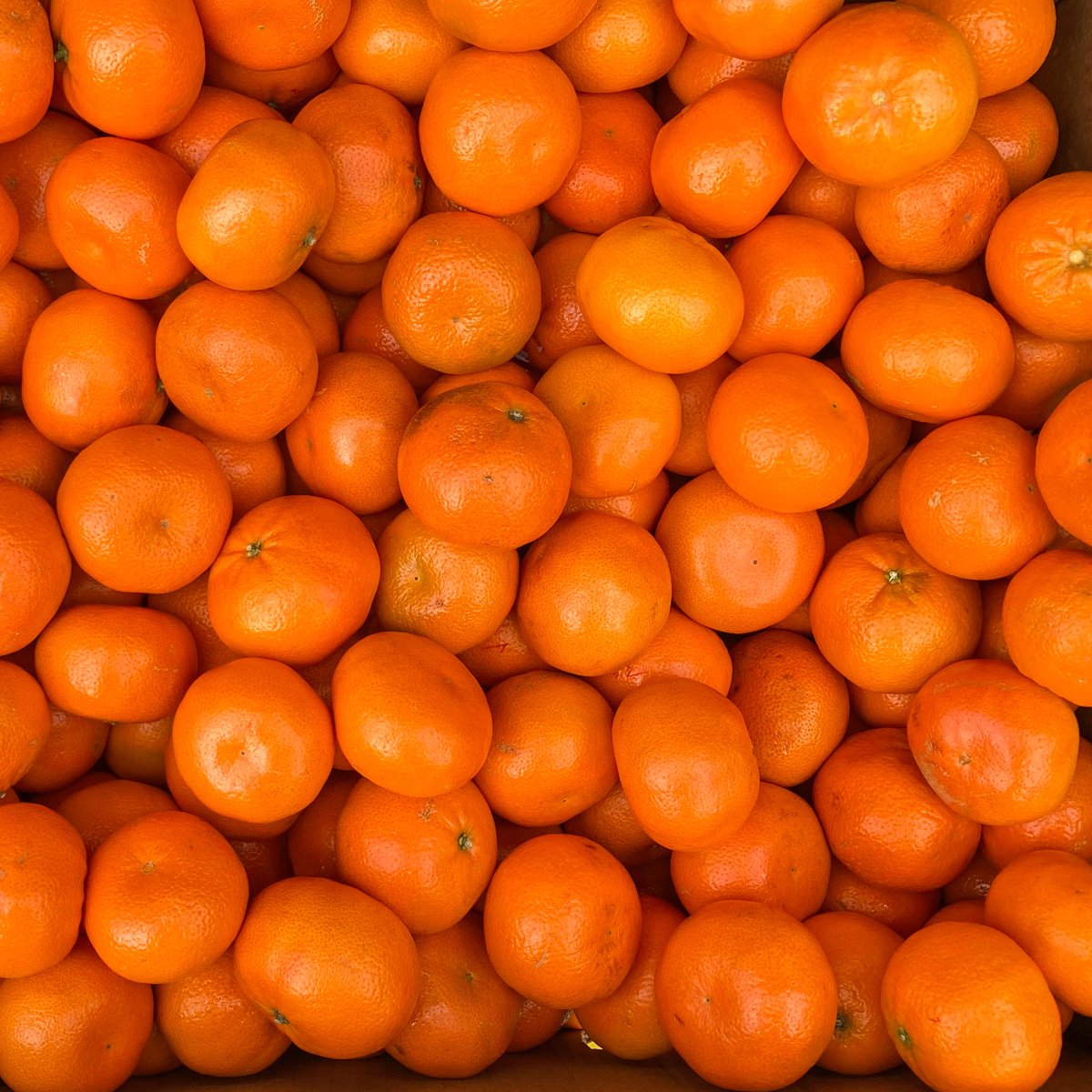 LovinFoodRescue's tweet photo. Wasting less food 🤝 meal planning.

On the blog now, shopping smart to avoid wasted food ➡️  https://t.co/oSe6pllviQ https://t.co/o63kOSCAeo