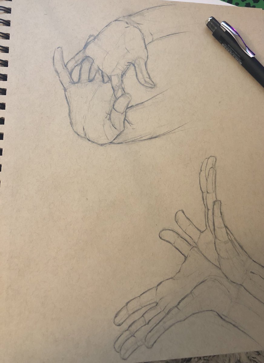 athenos_art's tweet photo. Hands study https://t.co/tBFFe3yG7j
