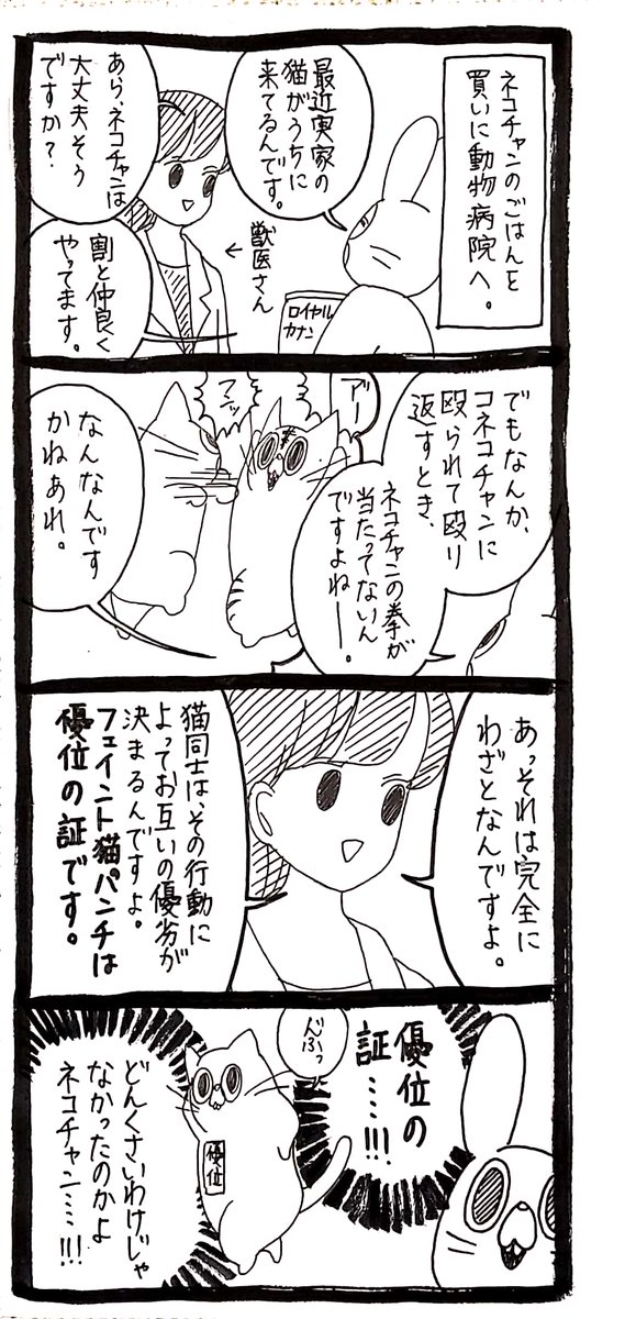 ネコチャン】優位の証 | うさぎのみみちゃん😇8/19,20あべのキューズモール