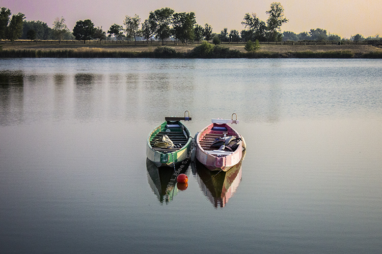 “Our life is frittered away by detail… simplify, simplify.”
–Henry David Thoreau