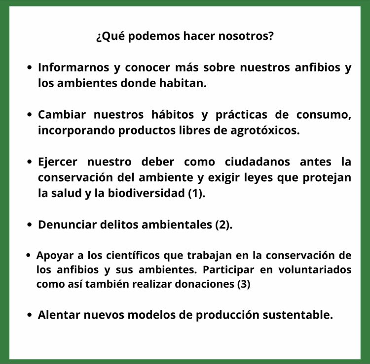 buenosairesstf's tweet photo. SALVEMOS A LOS ANFIBIOS DE LOS AGROTÓXICOS 

Entrevistamos al Dr. Lajmanovich, un reconocido científico especializado en Bioecología y Ecotoxicología de anfibios.  

Podés encontrar la entrevista en nuestro blog 👇

https://t.co/6fhlhzIBcM https://t.co/MJ5pdn81Er