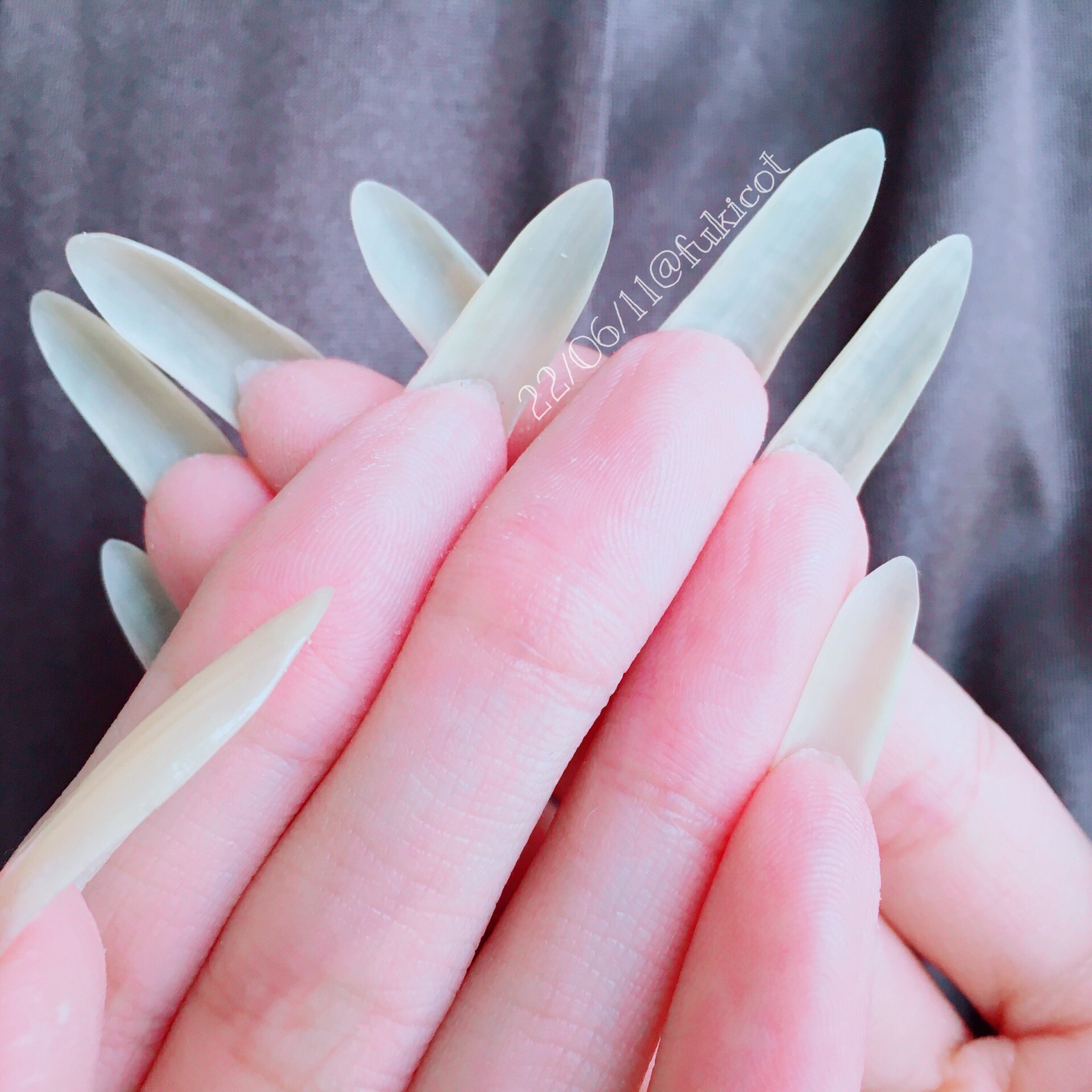 ドl ぞんび Cocotte Selfnail Nail Longnails ハンドモデル 自爪 自爪ネイル セルフネイル ネイル ネイルベッド ロングネイル 自爪育成 素爪 自爪ロング T Co 1udkiabwxn Twitter