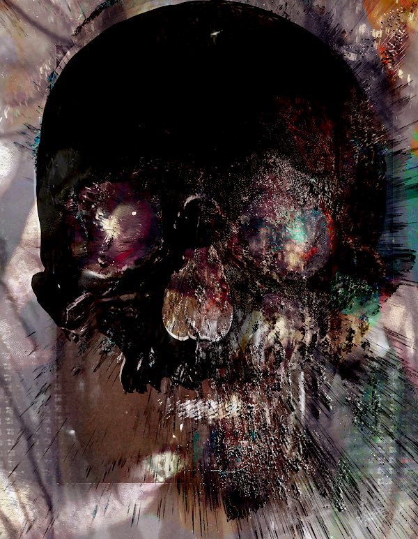 KNOTVERSE tweet media