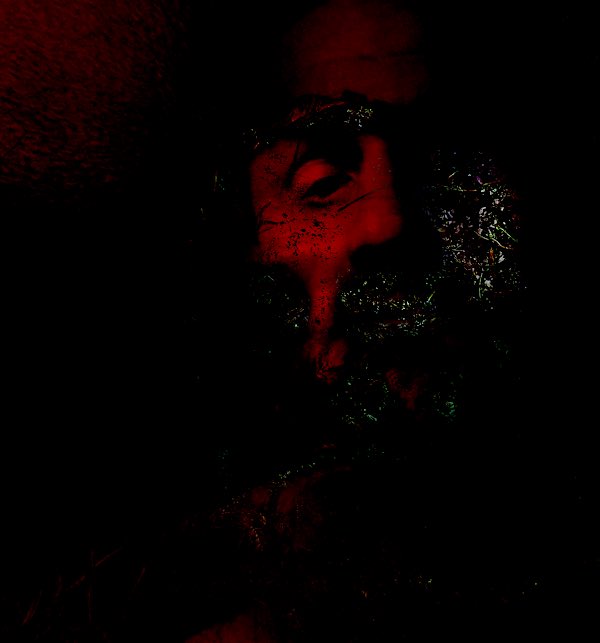 KNOTVERSE tweet media