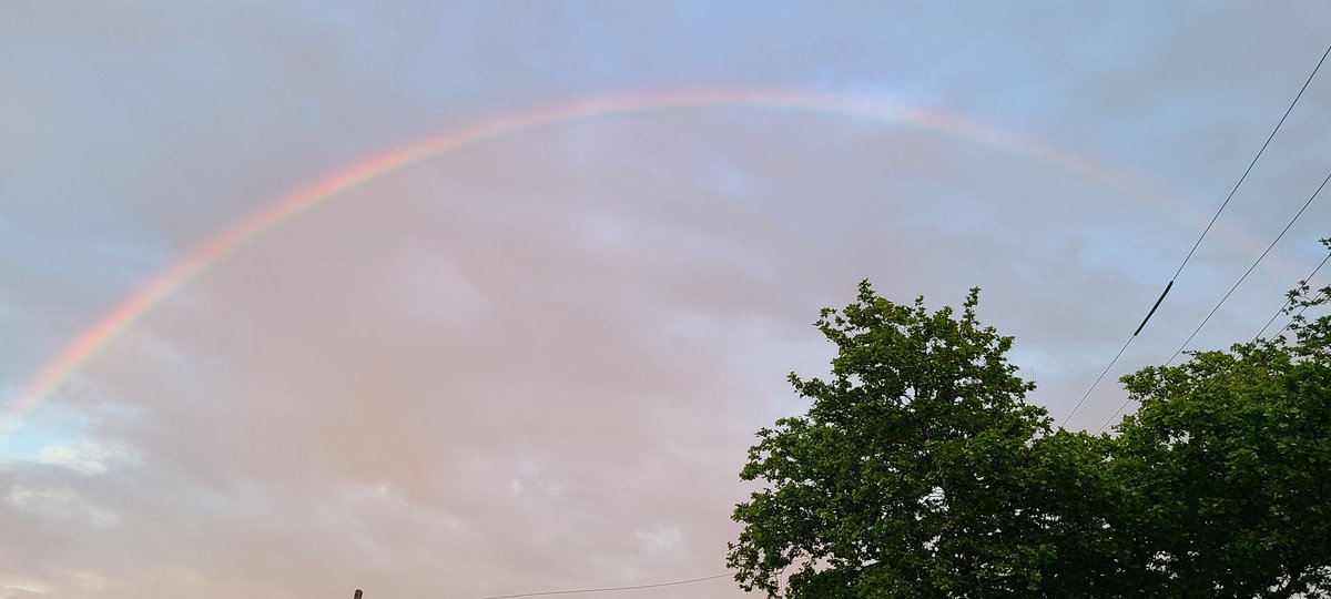 sarahrepucci's tweet photo. Rainbow in Brooklyn! https://t.co/jLJaRo1dg6