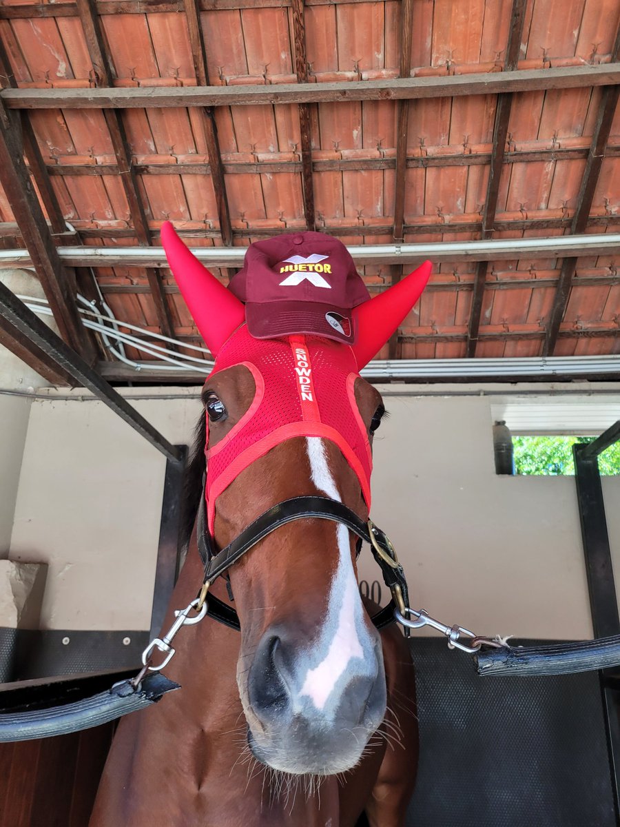 Gets his own hat now he's a group 1 winner 💪