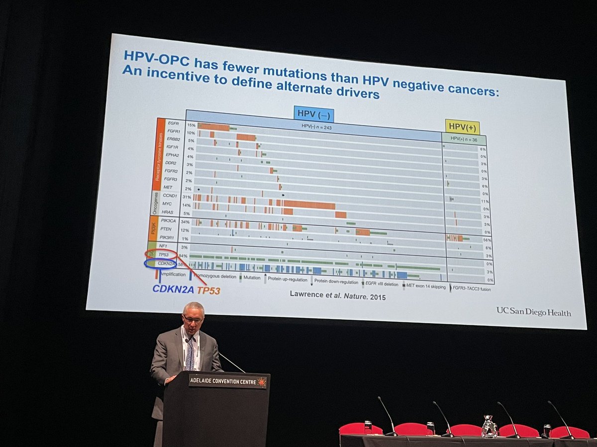 We talk about HPV in head and neck cancer, but don't forget the HPV negative group! Joseph Califano, San Diego at #asohns2022