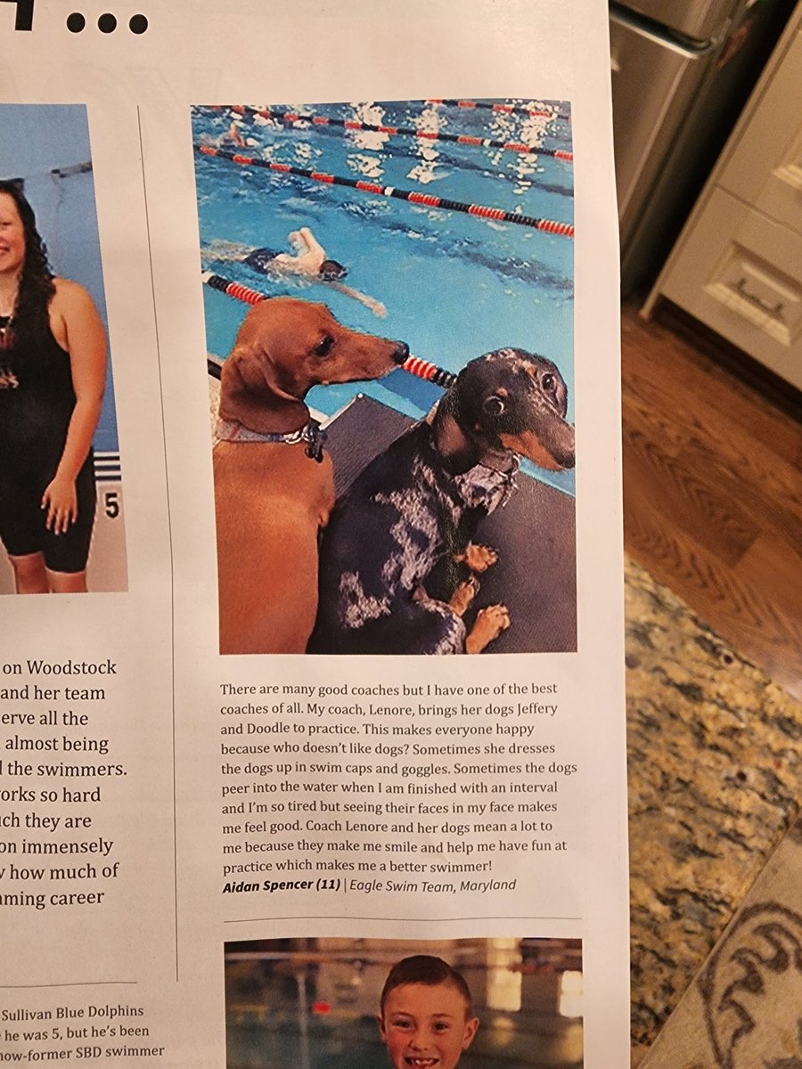 Eagle Swim Team tweet media