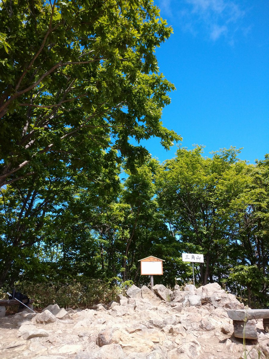 つがい tweet media