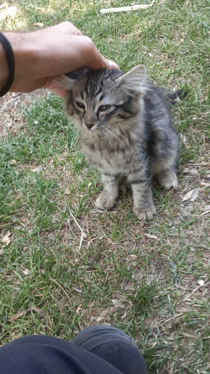 wish_anymore's tweet photo. @zahraw_exol @weareoneEXO @layzhang @B_hundred_Hyun چ کیوت
این کوچولورم من امروز باش آشنا شدم
دختره
اسمشو گذاشتم سیری
@weareoneEXO 
@layzhang 
@B_hundred_Hyun https://t.co/9CtI1oh0Ru