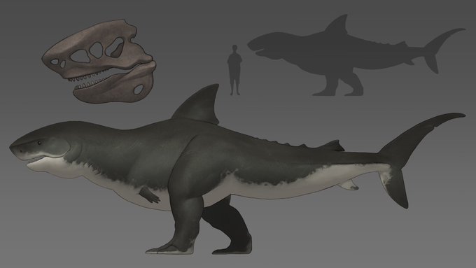 サメイラストのtwitterイラスト検索結果