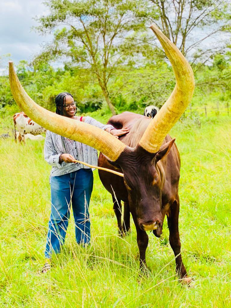 Novine_Farm's tweet photo. We do not have $4m hidden away at Novine Farm
We do not have R3m auctions at our farm 
We just farm because we do not know what we would be if we didn’t 
#JustFarm https://t.co/3qclhQJXHB